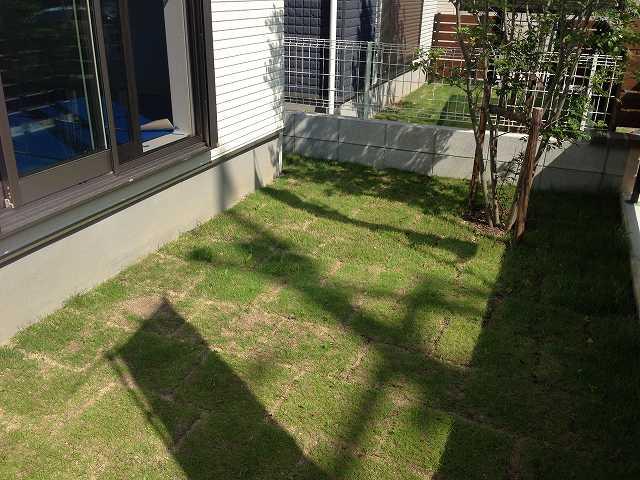 Garden. Local (07 May 2013) Shooting