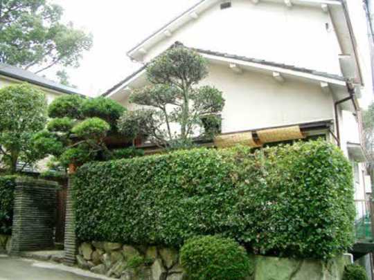 Local appearance photo