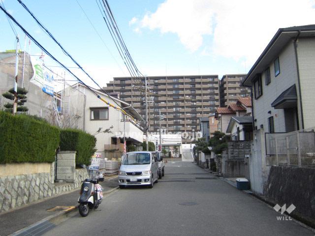 Local photos, including front road. Local (12 May 2013) Shooting