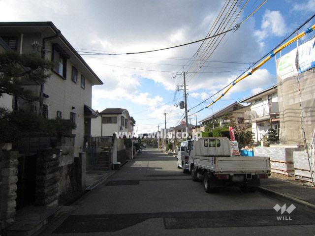 Local photos, including front road. Local (12 May 2013) Shooting