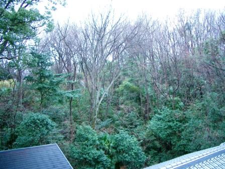 View photos from the dwelling unit