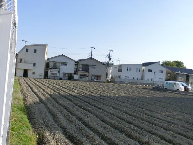 Other local. North side is one side rice paddy!