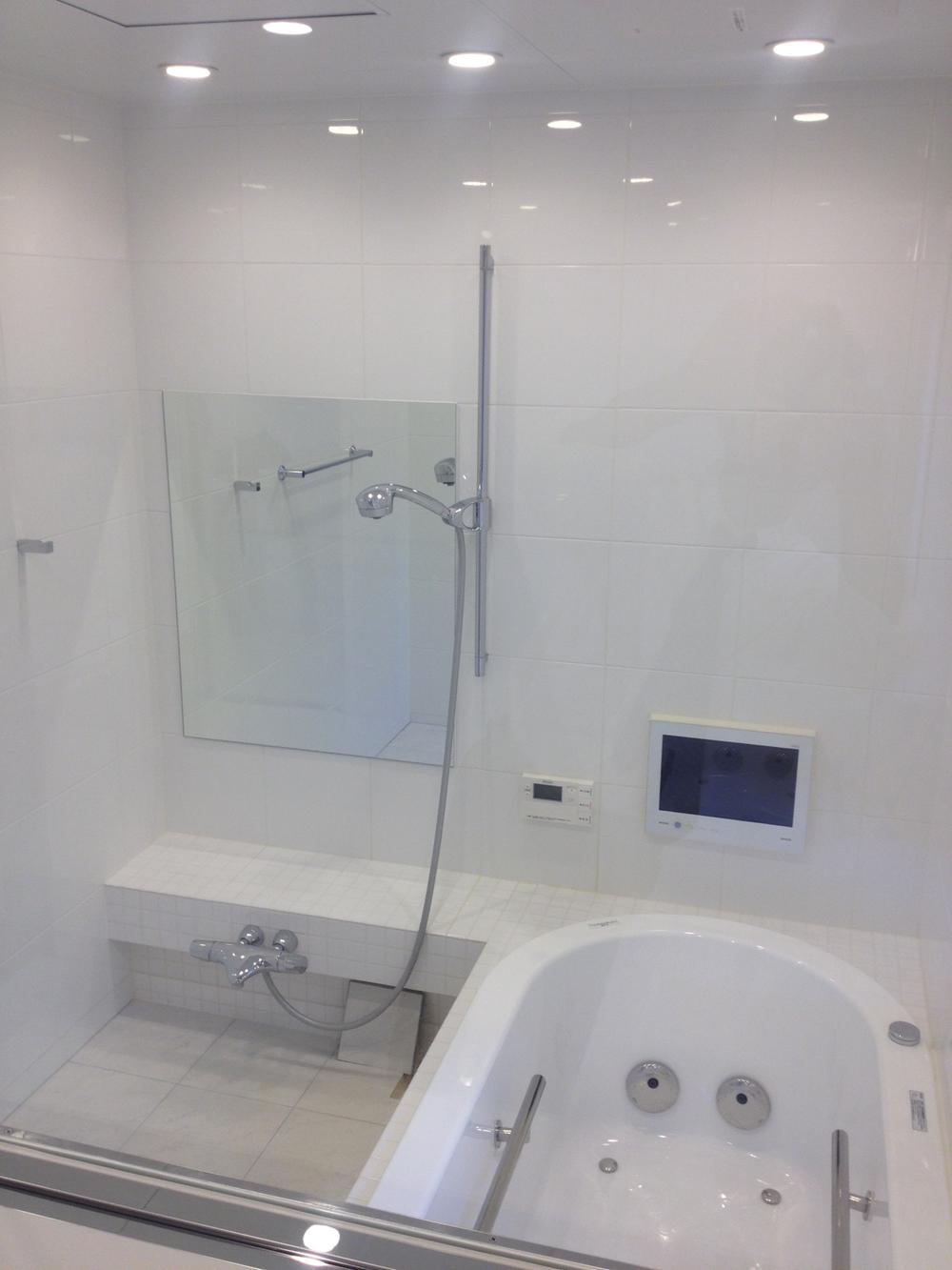 Bathroom. Indoor (11 May 2013) Shooting