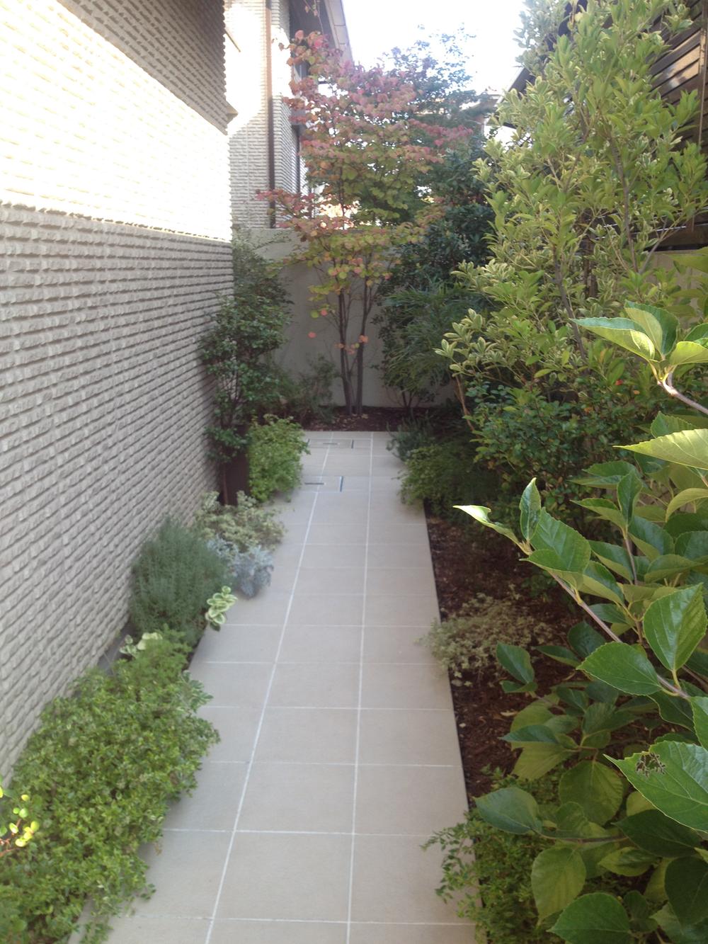 Garden. Local (11 May 2013) Shooting