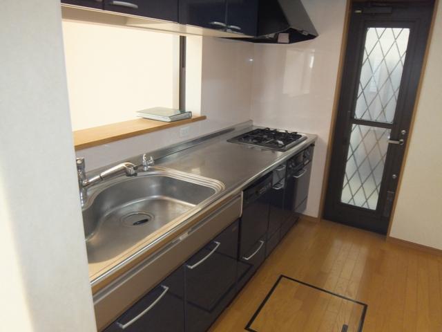 Kitchen. Counter kitchen dishwasher