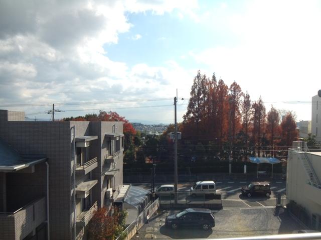 View photos from the dwelling unit. Is the view from the second floor! 