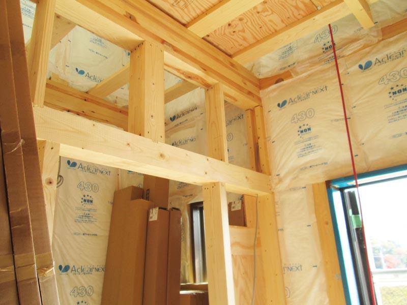 Model house photo. Model house under construction