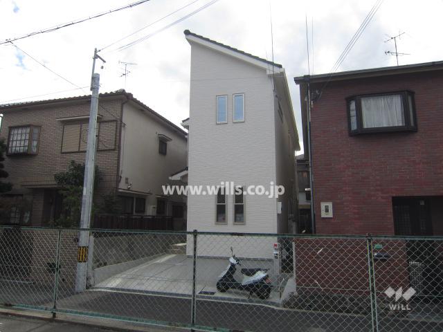 Local appearance photo. Local (10 May 2013) Shooting