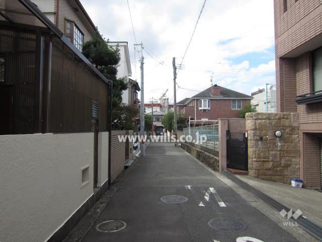 Local photos, including front road. Local (10 May 2013) Shooting