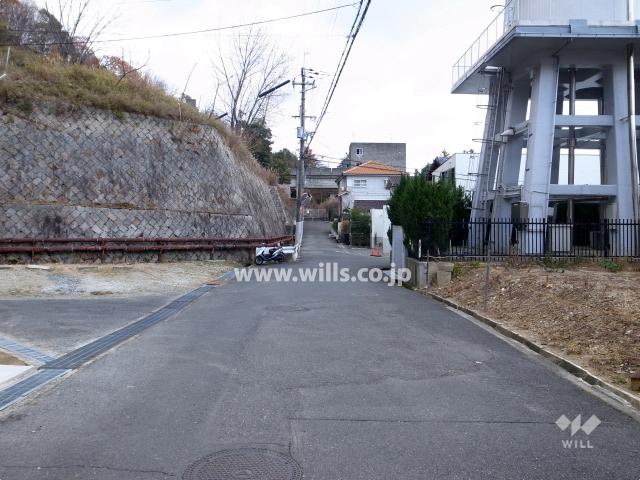 Local photos, including front road. Local (12 May 2013) Shooting