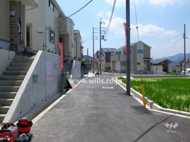 Local photos, including front road. Local (April 2013) Shooting