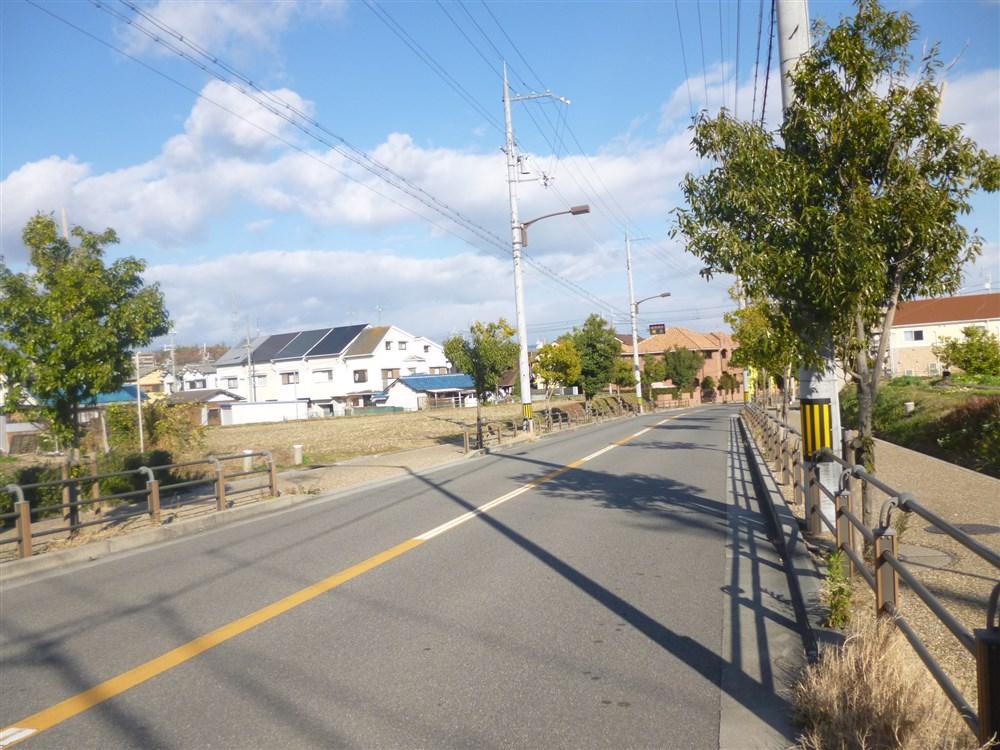 Other.  [Local neighborhood] Local next to the road is a good vantage, The sidewalk is also a two-lane road that has been in place. It is safe to go out of the traffic volume also fewer children.
