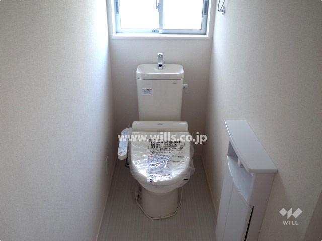 Toilet. First floor toilet