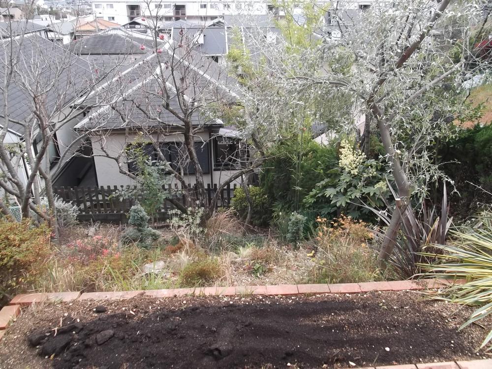 Garden. Local (12 May 2013) Shooting (south slopes)