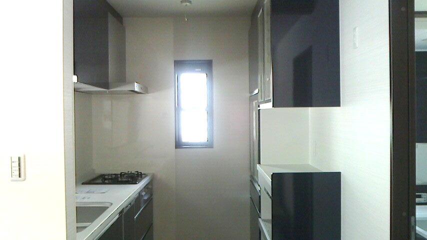 Kitchen. Face-to-face kitchen