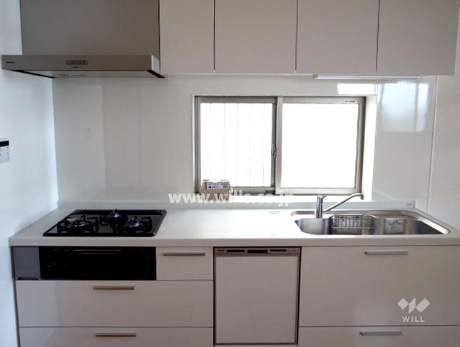 Kitchen. Local (April 2013) Shooting