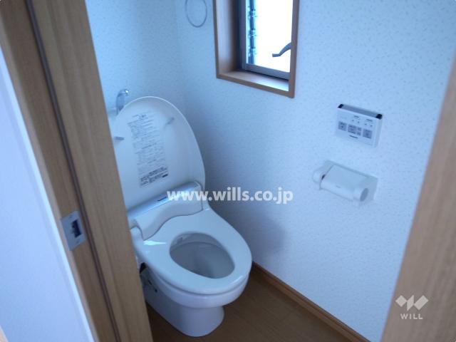 Toilet. Local (April 2013) Shooting