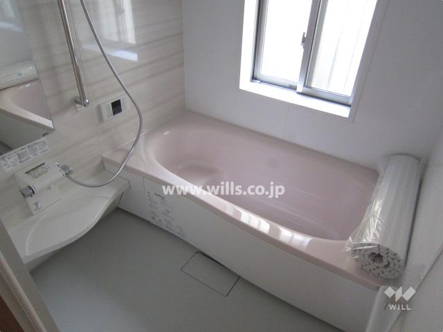 Bathroom. Local (April 2013) Shooting