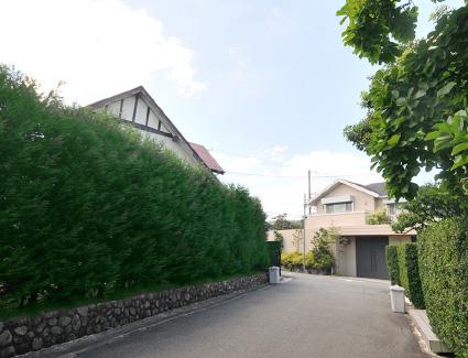 Other. Local neighborhood