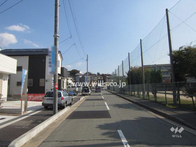 Local photos, including front road. Local (11 May 2013) Shooting