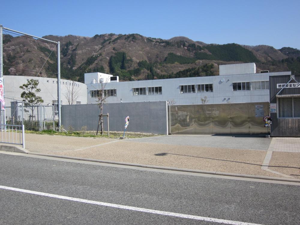 Other. Roar only forest school