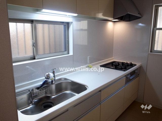 Kitchen. Local (11 May 2013) Shooting