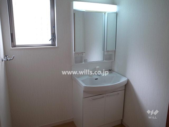 Wash basin, toilet. Local (11 May 2013) Shooting