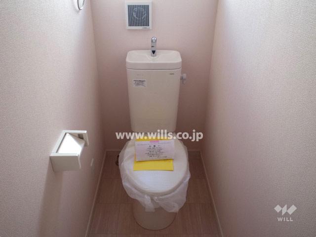 Toilet. Local (11 May 2013) Shooting