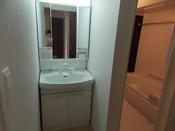 Wash basin, toilet. With a convenient shower bathroom vanity