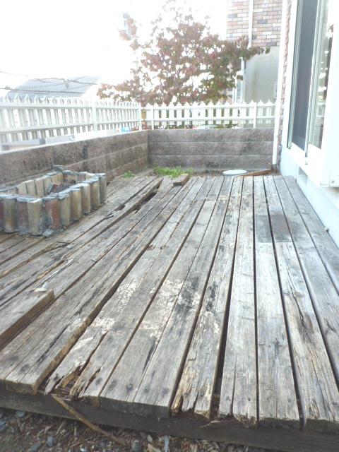 Garden. Indoor (12 May 2013) Shooting