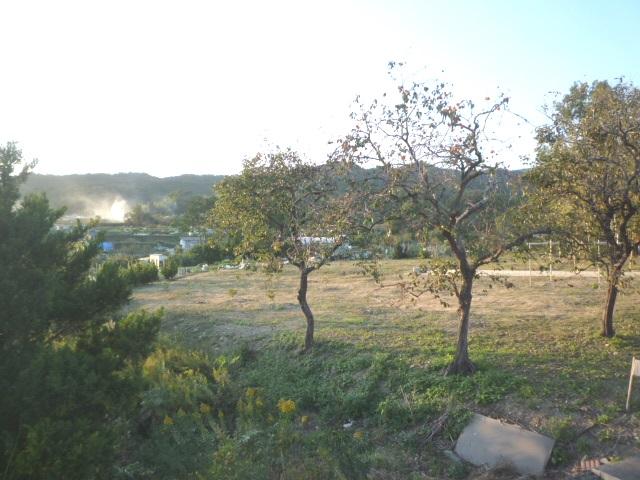 View photos from the dwelling unit. West view. Since the east side does not have building, Ventilation is good. Looking also not worried.