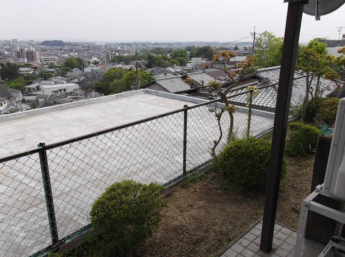 Garden. Local (May 2013) Shooting