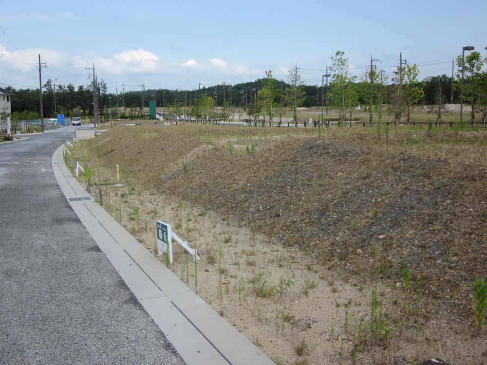 Local land photo. Local (August 2013) Shooting