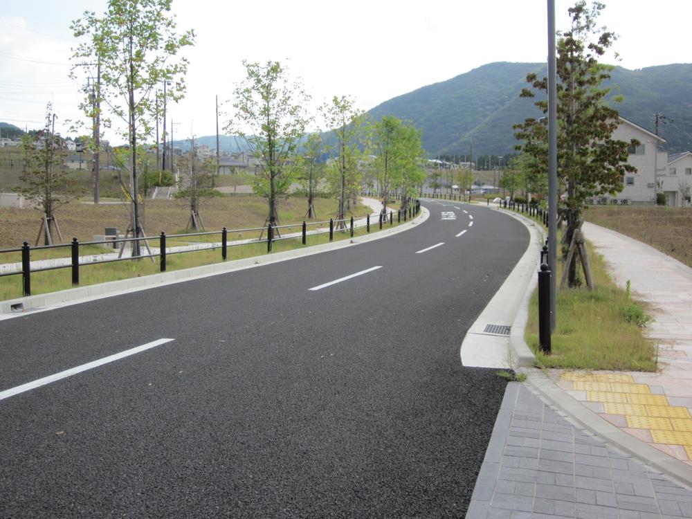Streets around. Tree-lined streets of the main road