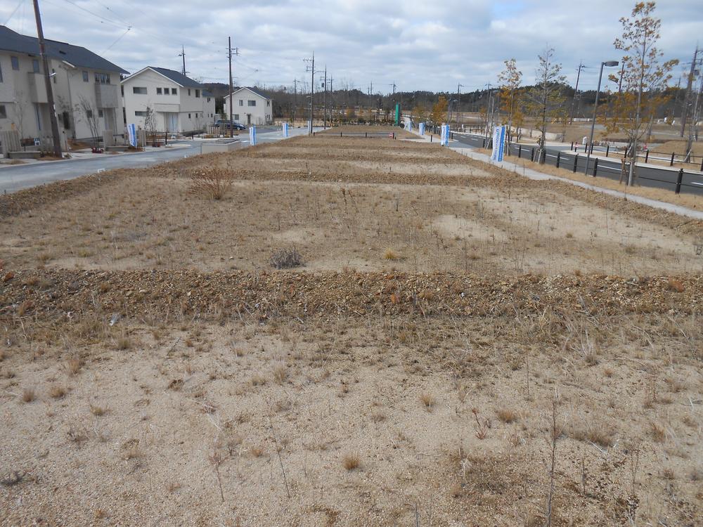 Other local. Local (January 2014) Shooting