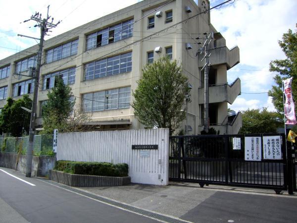 Primary school. Fourth 800m up to elementary school