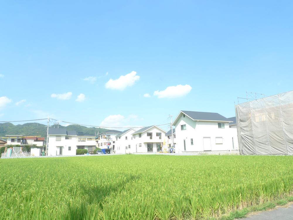 Local land photo. Local (September 2013) Shooting Excellent very ventilation and lighting for no shield around the environment.