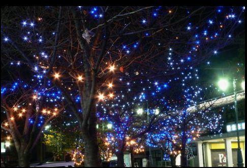 Other Environmental Photo. From December, Illumination lights in the Hankyu Minase Station and Nanko road around, It illuminates gently cityscape of night.