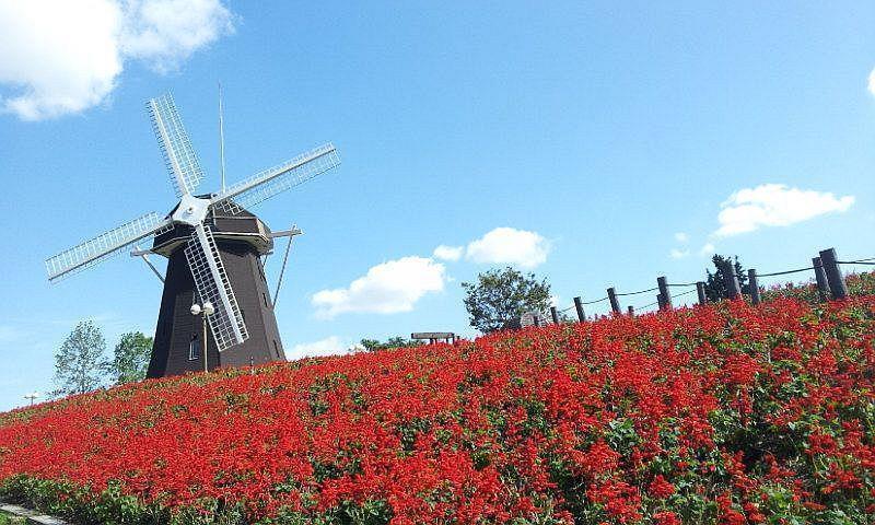 park. Until Flora 2004 Memorial Park Tsurumi Ryokuchi 640m
