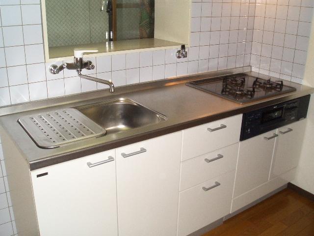 Kitchen. System Kitchen (July 2010 already replacement! )