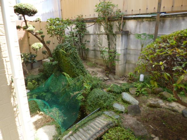 Garden. Local (September 2013) Shooting