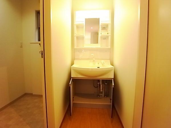 Wash basin, toilet. Washstand easy-to-use in the shower