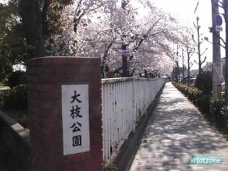 park. 950m to bough park