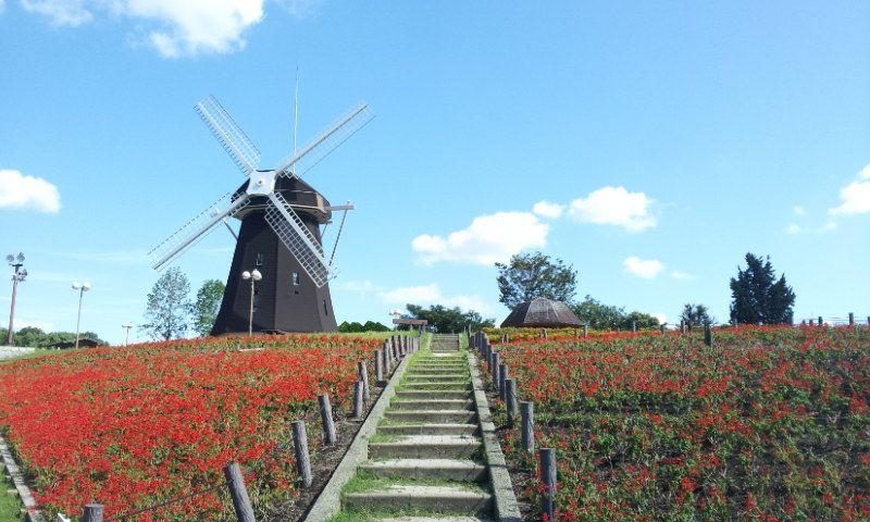 Other. Flora 2004 Memorial Park Tsurumi Ryokuchi Windmill