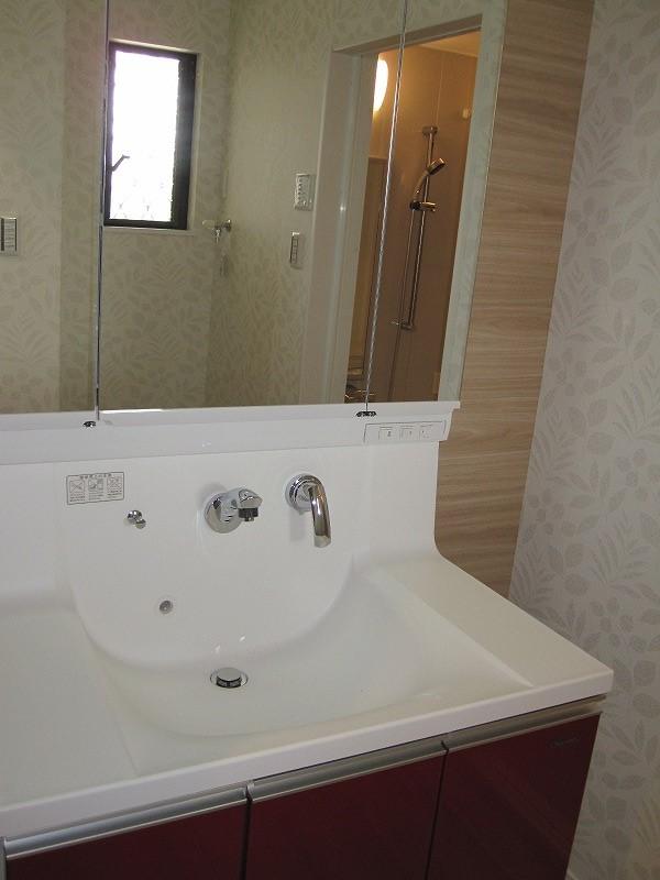 Other introspection. Wash basin. Wide-type.