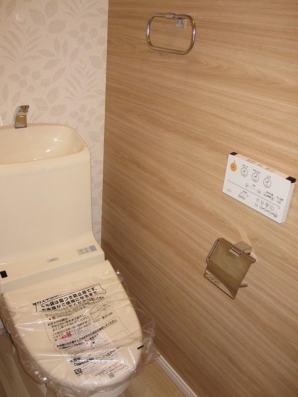 Toilet. Wall Choice accents of brown color. Very calm.