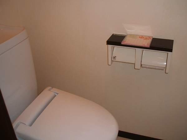 Toilet. First floor toilet