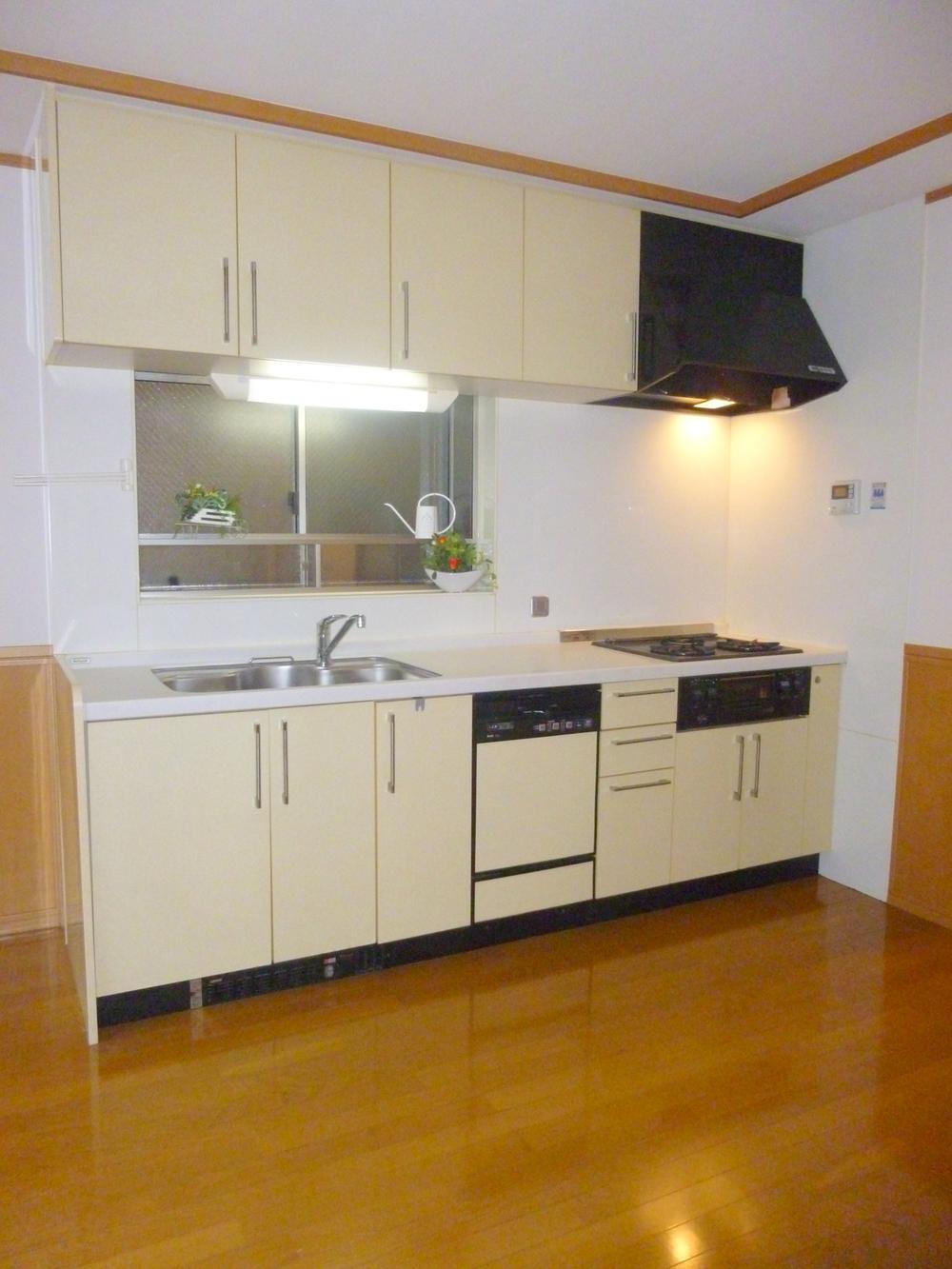 Kitchen. Local (11 May 2013) Shooting