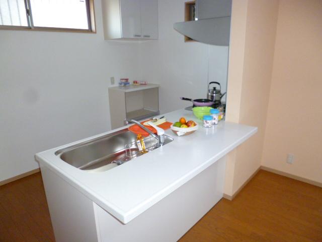 Kitchen. Indoor (12 May 2013) Shooting