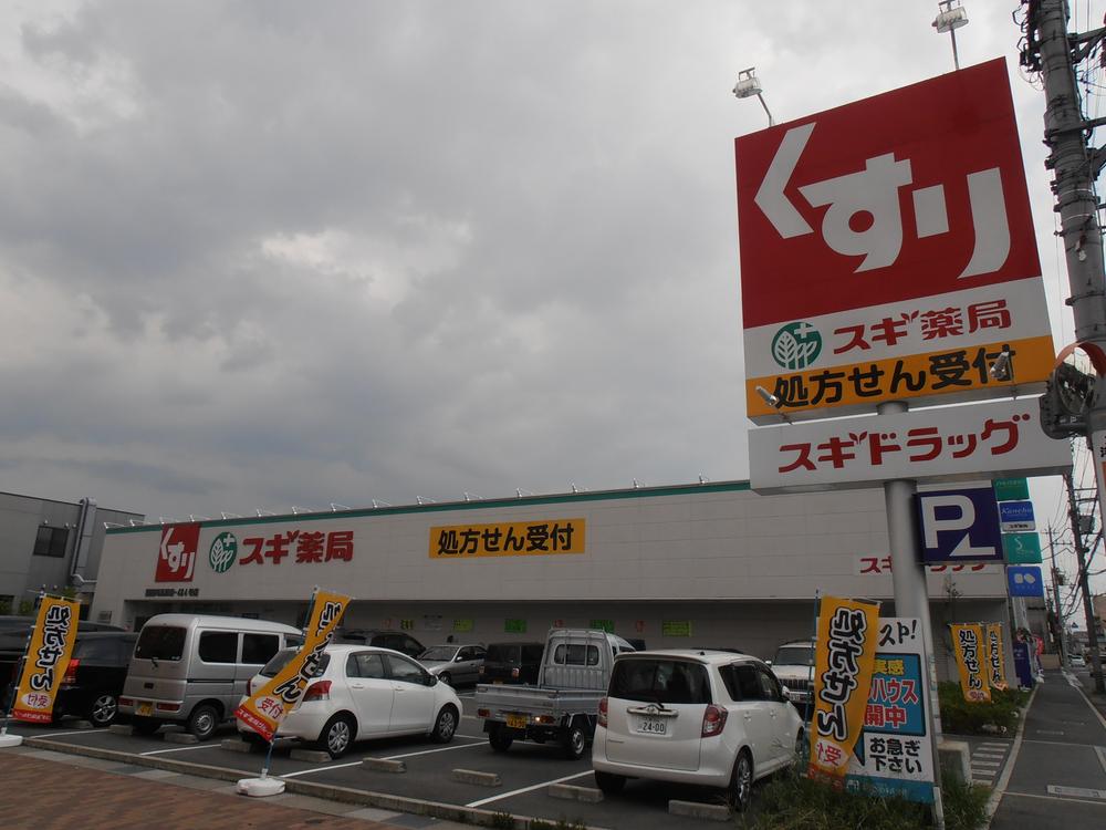 Other.  ◆ Drugstores